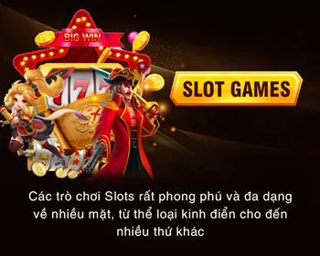 Quản lý tài khoản cá nhân VIP banca29